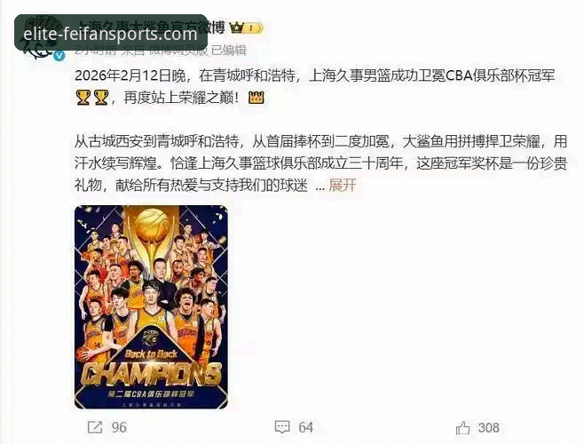 技术评测员分享：从上海队12连胜看非凡体育官方APP的赛事数据呈现